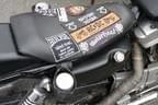 Harley Davidson Biker Kaiserwinkl & Friends .... Bild 15