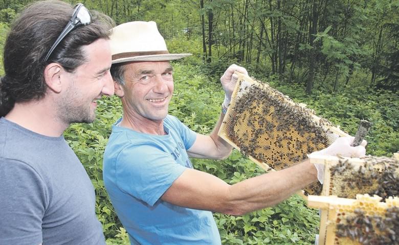25bienen.jpg