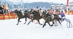 2pferderennen.jpg