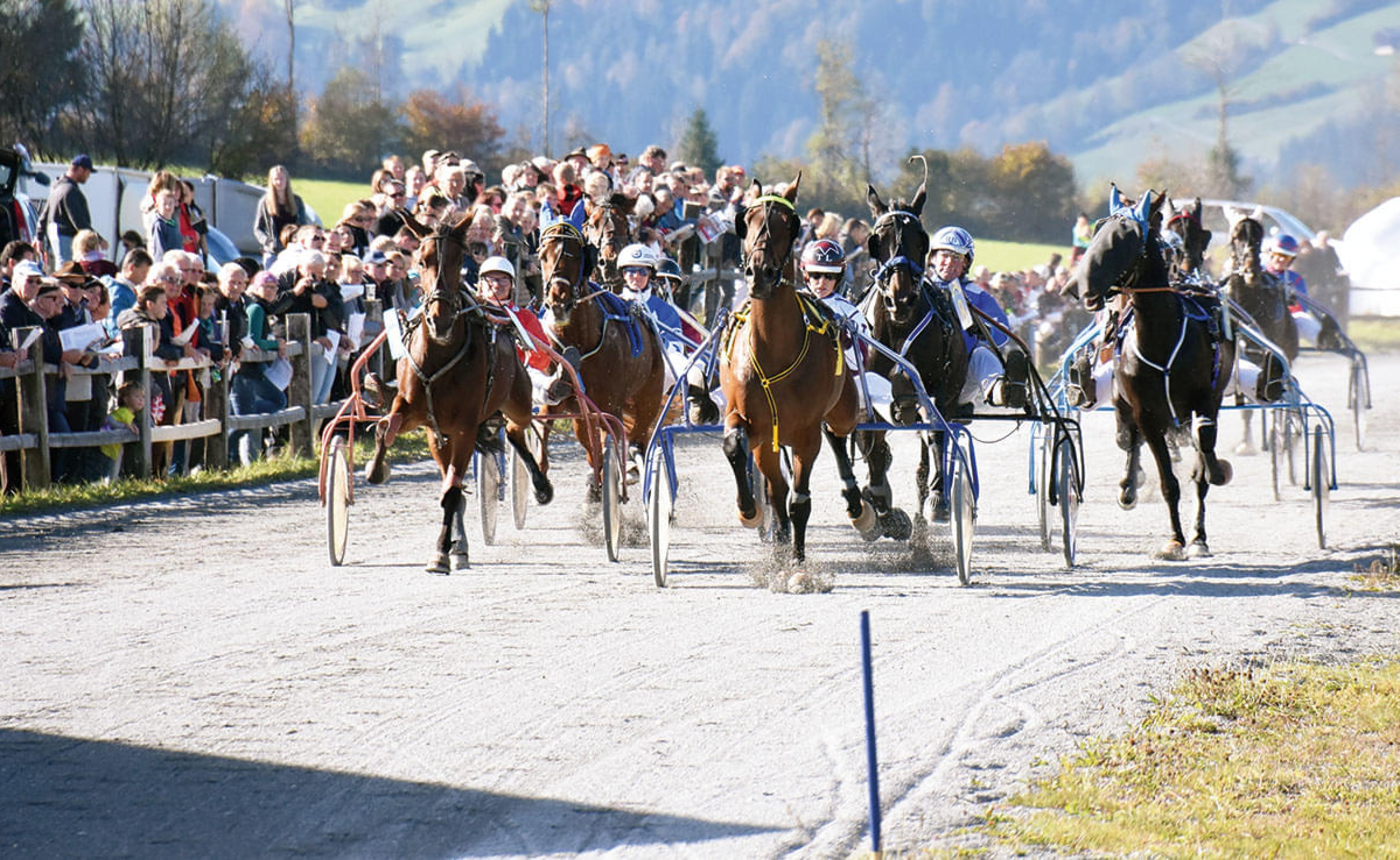 43pferderennen.jpg