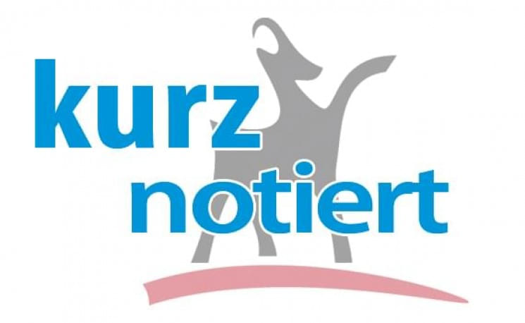 Grafik mit einem stilisierten, grauen Ziegenbock und dem Schriftzug "kurz notiert" in blauer Farbe. Darunter ein roter, geschwungener Streifen.