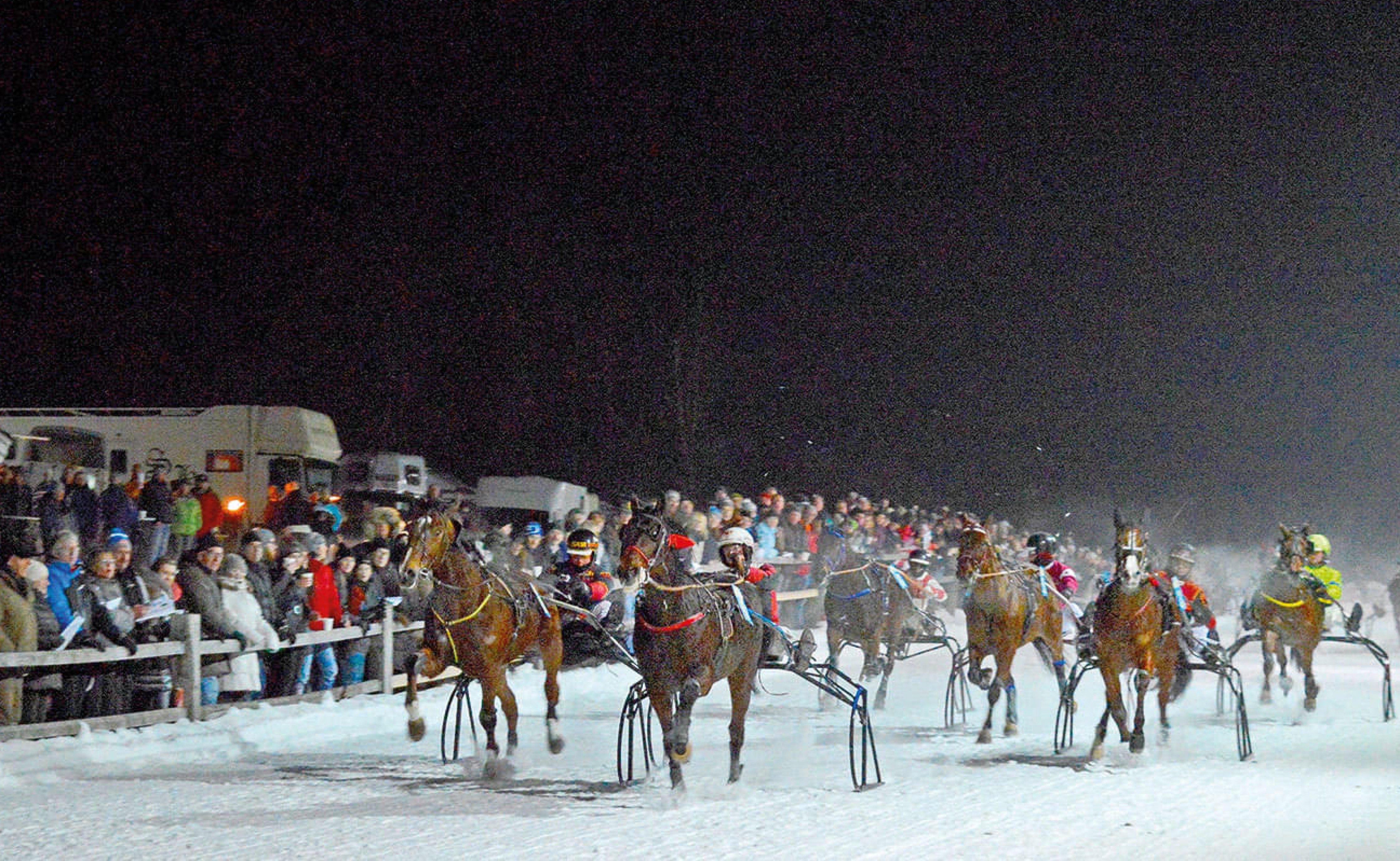 7pferderennenkirchberg.jpg