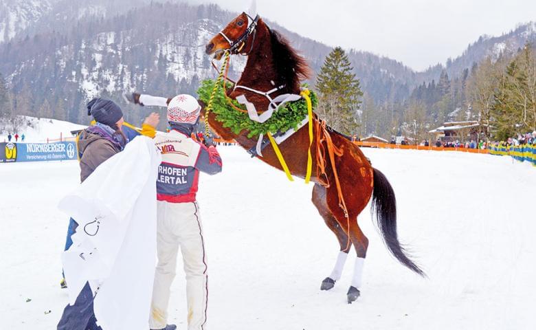 9schlittenpferddesjahres.jpg