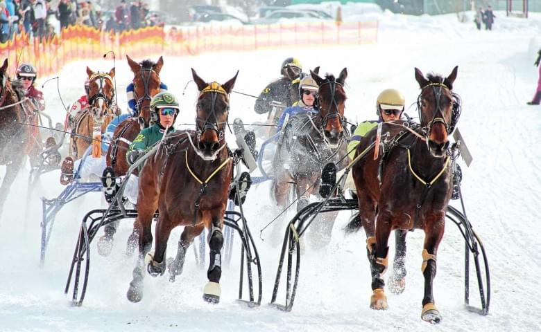 Mehrere Pferdeschlitten mit muskulösen Pferden rasen durch eine Schneelandschaft bei einem Wettkampf, umgeben von Winterkleidung tragenden Fahrern.