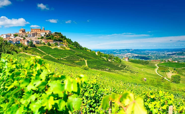 barolo_weingut_gettyimages485100568.jpg
