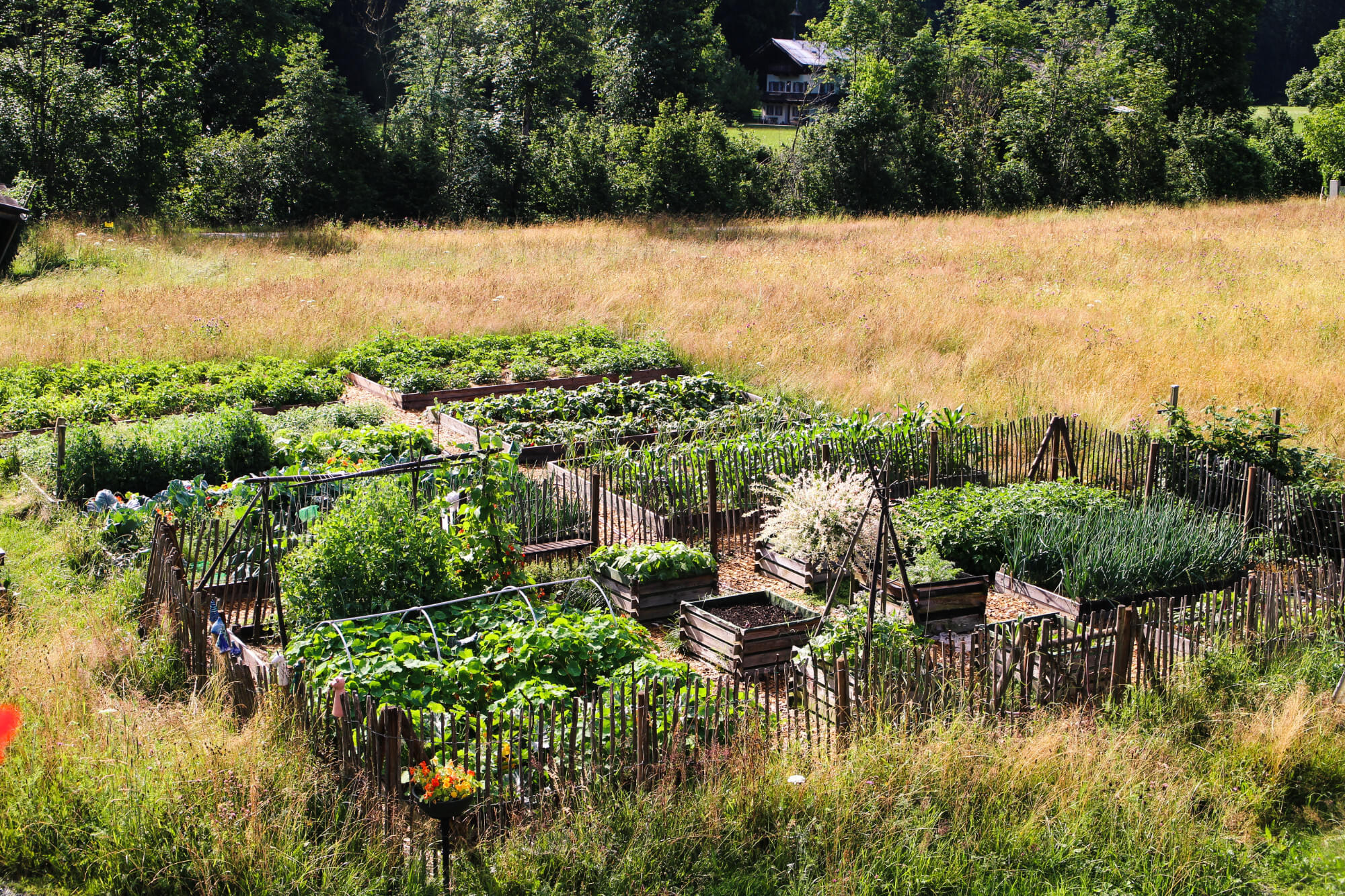 bauerngarten.jpg