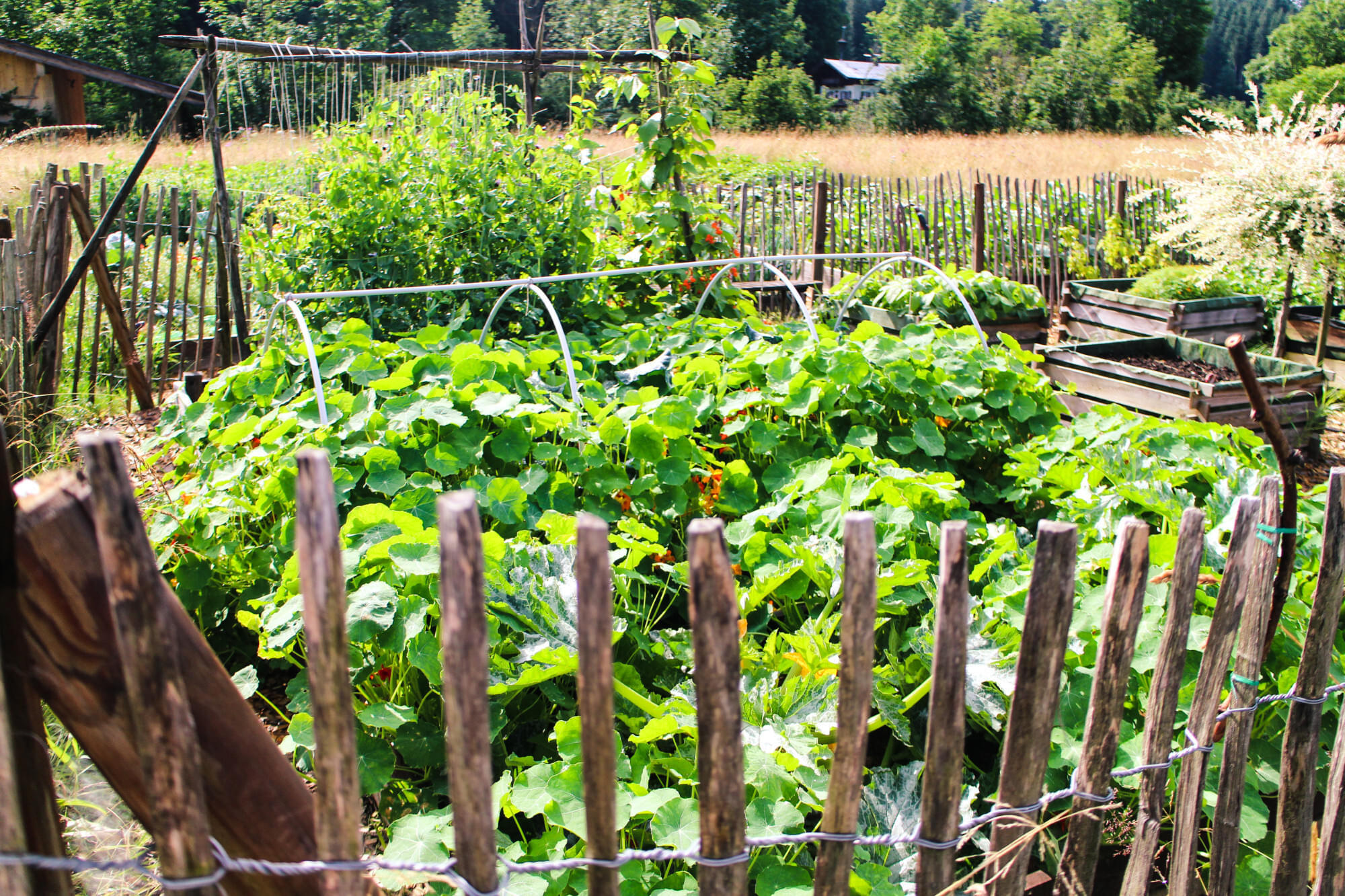 bauerngarten3.jpg