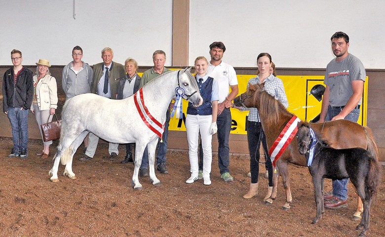 Eine Gruppe von Menschen posiert mit zwei Pferden in einer Halle. Die Pferde tragen Siegerbänder um den Hals. Die Menschen wirken glücklich und stolz.