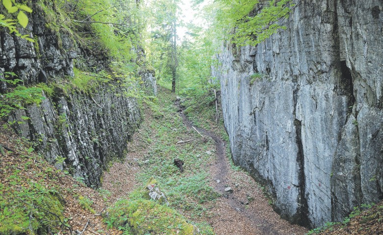 Ein schmaler, bewaldeter Pfad zwischen hohen, grauen Felswänden führt in einen üppigen, grünen Wald. Der Boden ist mit Laub bedeckt, und das Licht ist diffus.