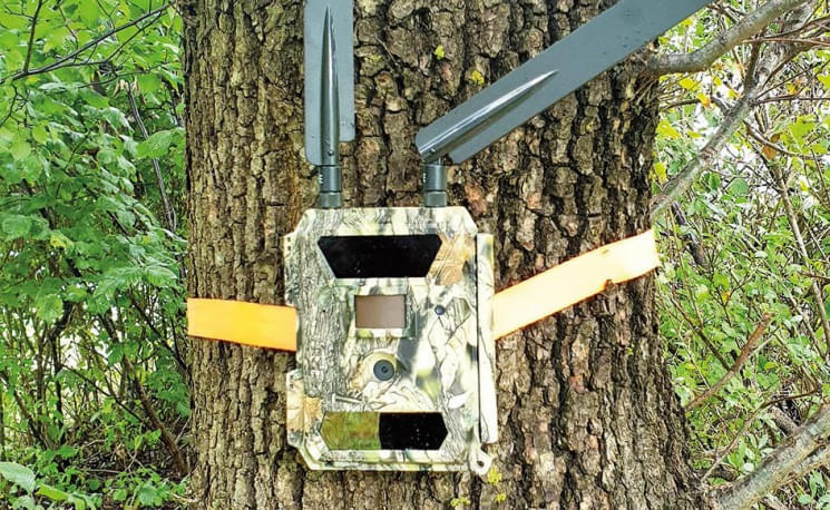 wildkamera_tjv2spaktu.jpg