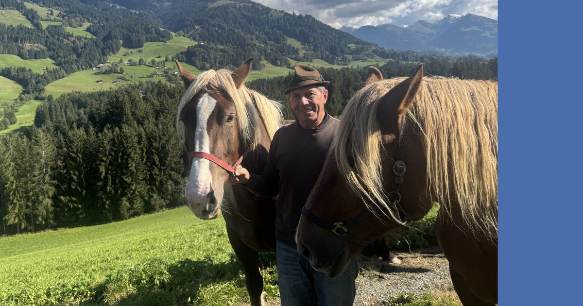 Der Rossinger vom Hasenberg