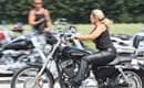 29harley