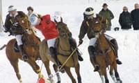 2polo42