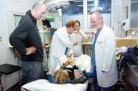 9krankenhaus3