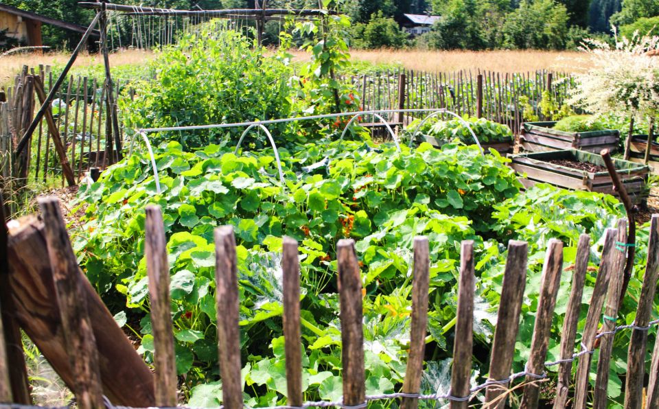 bauerngarten3