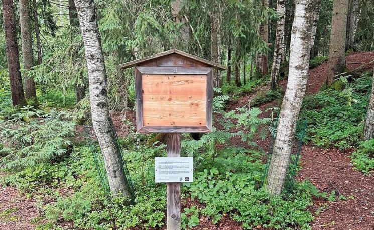 bilderklaus2spaktuell