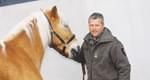 haflinger-hochfilzen-fusser