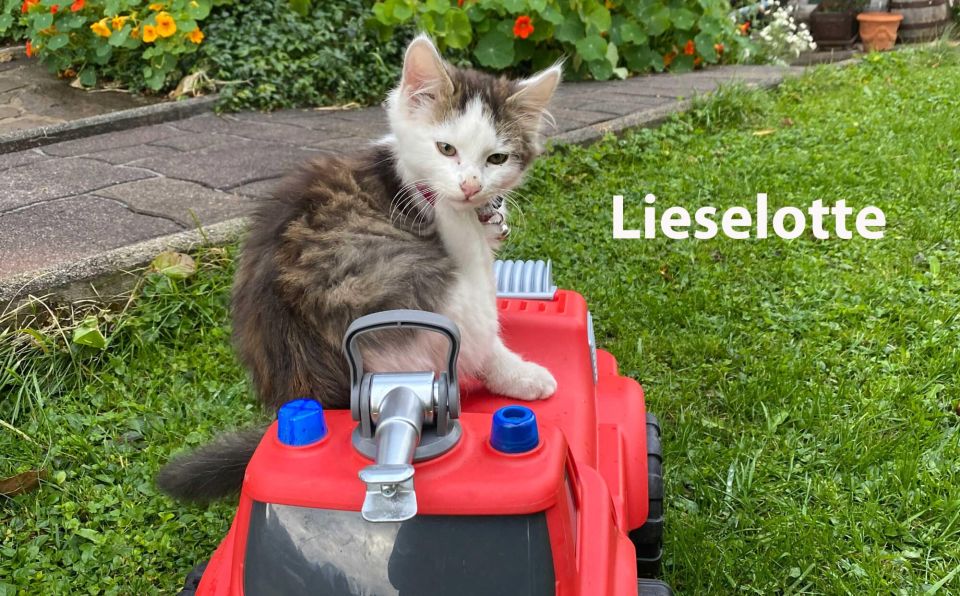 lieselotte1spbez