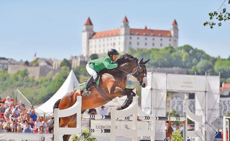 springreiten-3sp-sport