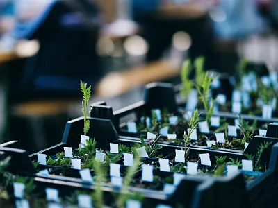 1-aktion-fleckerlteppich-itter-c-magdalena-laiminger-9-2