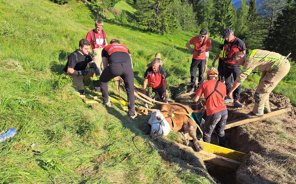 2025-05-31-tierrettung-1-5-1