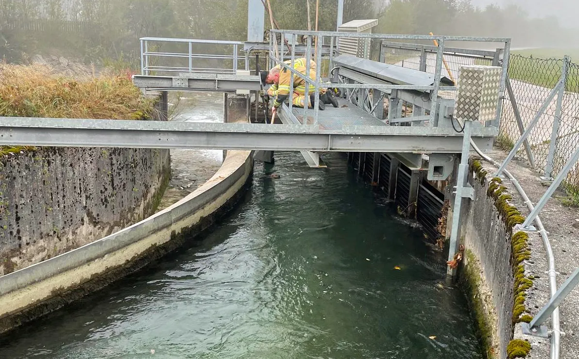 a-biber5-41-2025-ffst