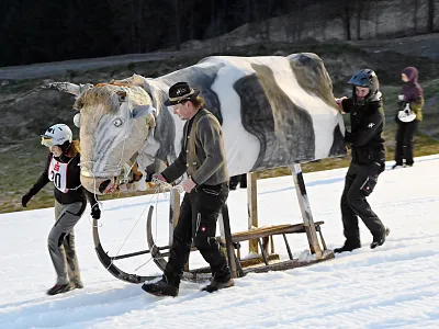 a-hornschlittenrennen1-12-2025-monika-pletzer-2