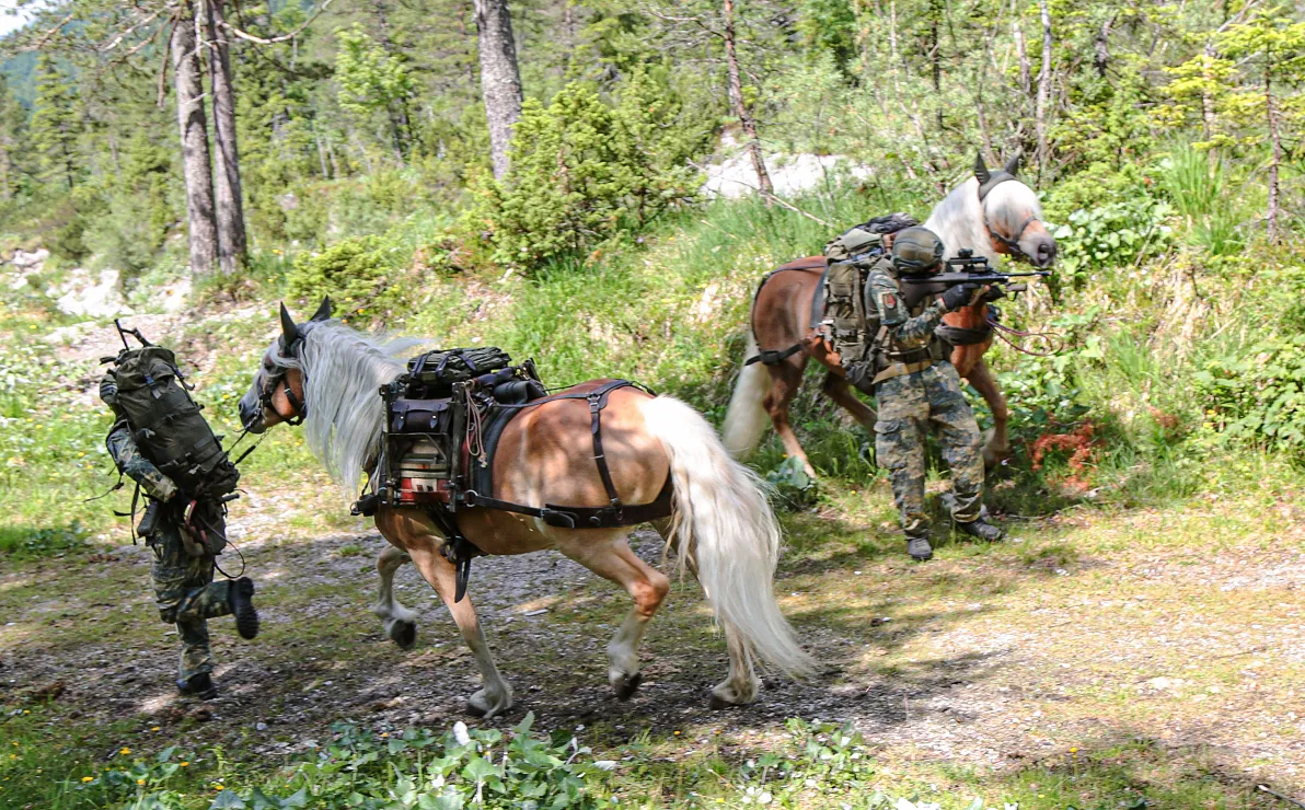 a-oebh-uebung-ttz-juni25-1-1