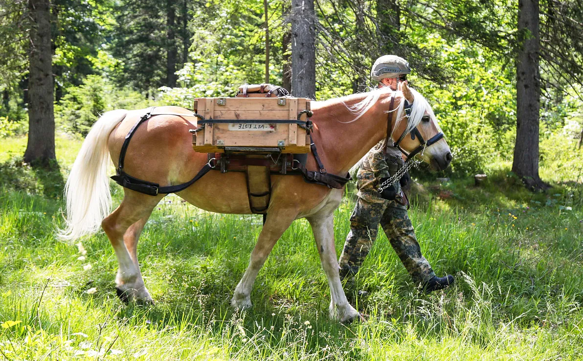 a-oebh-uebung-ttz-juni25-5-1
