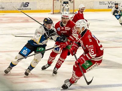 Adler vs Regensburg
