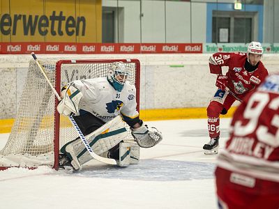 Adler vs Regensburg