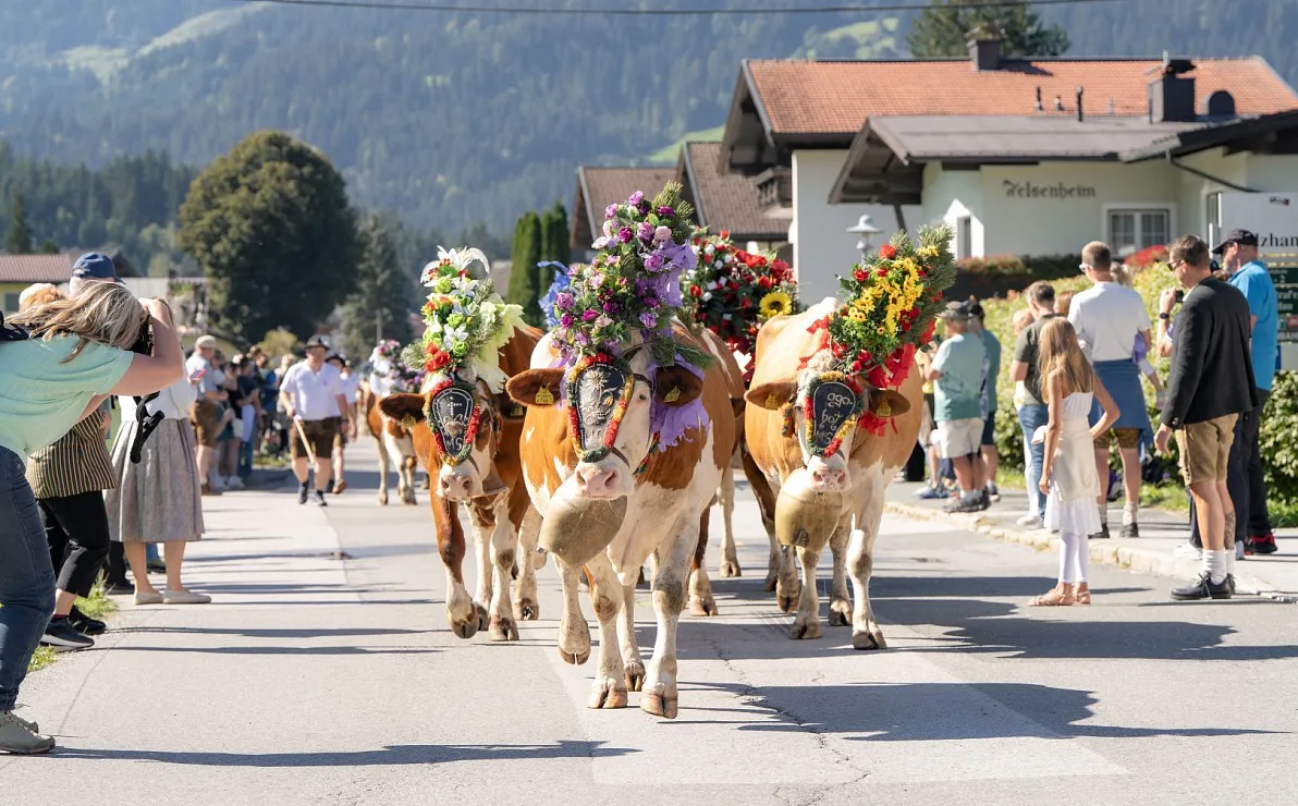 Almabtriebe im Brixental 2026