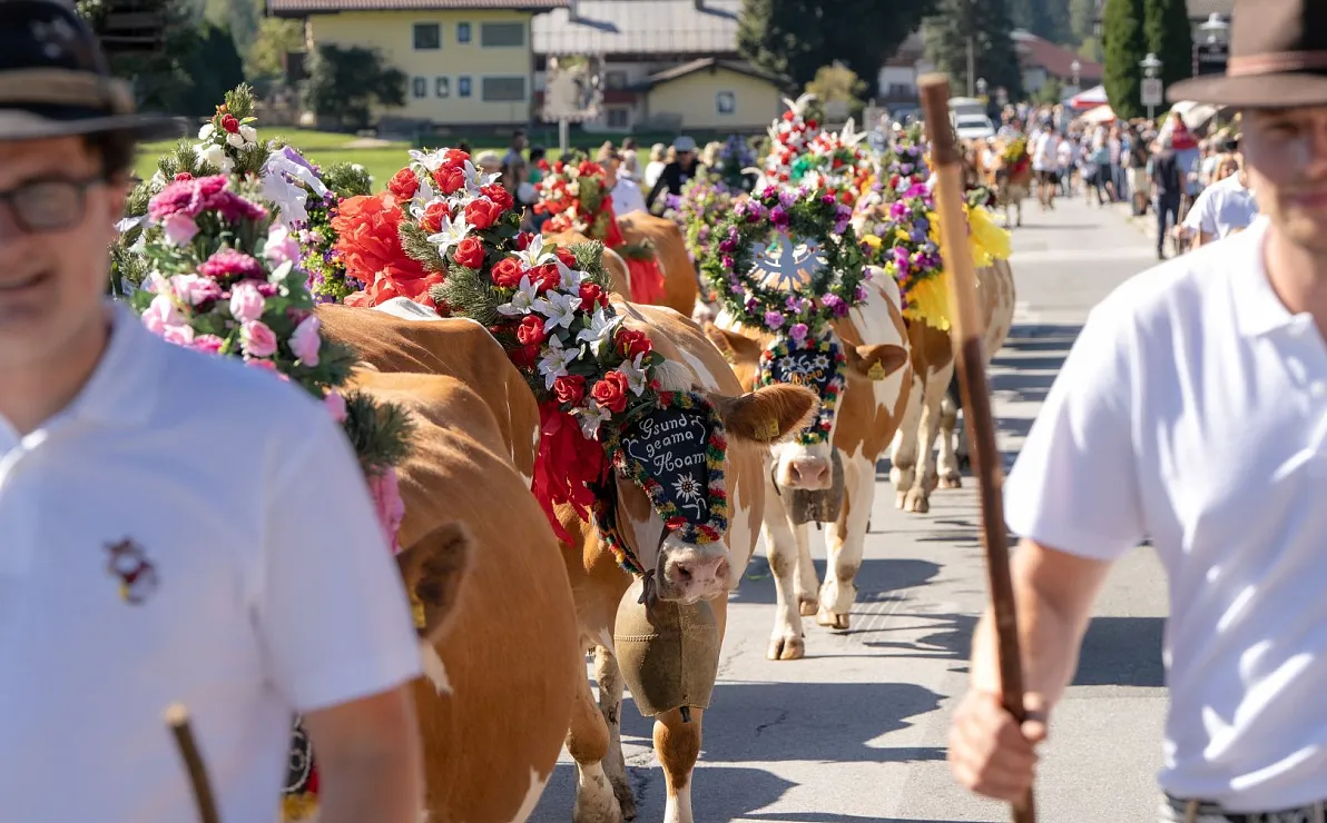 Almabtriebe im Brixental 2026