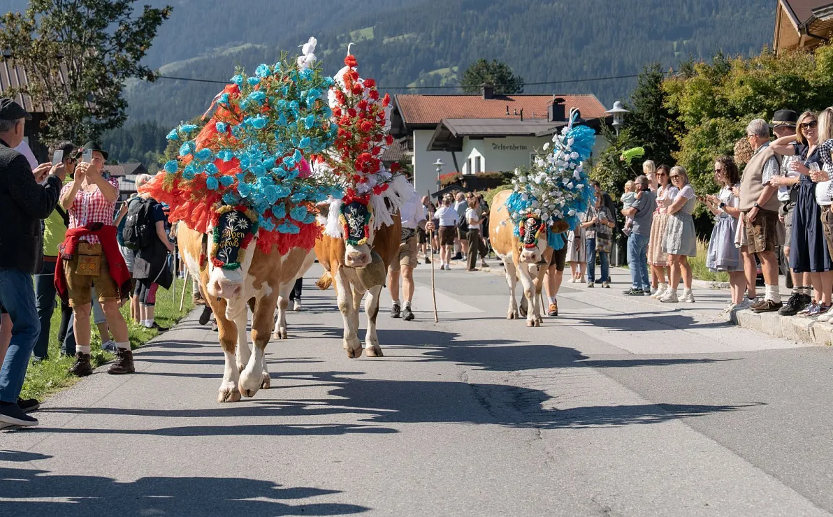 Almabtriebe im Brixental 2026