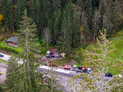 Luftaufnahme eines Waldgebiets mit gefällten Bäumen, Baufahrzeugen und einer kleinen Hütte, umgeben von dichtem Nadelwald entlang einer Straße.