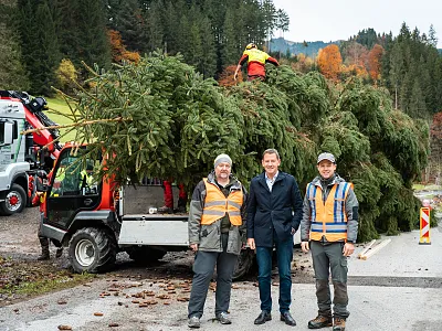 Drei Männer stehen vor einem Transporter mit einem großen, gefällten Baum auf der Ladefläche. Im Hintergrund herbstliche Landschaft mit bunten Bäumen.