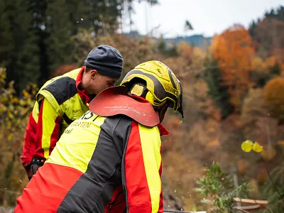 Zwei Personen in Schutzkleidung und Helmen arbeiten mit einer Motorsäge an einem Baumstamm im Freien, umgeben von herbstlichem Laub und Zweigen.