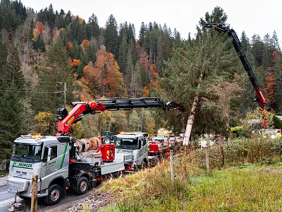 Lastwagen mit Kranauslegern fällen Bäume an einer Straße vor herbstbewaldeten Hügeln. Bauarbeiter unterstützen die Aktion bei sonnigem Wetter.