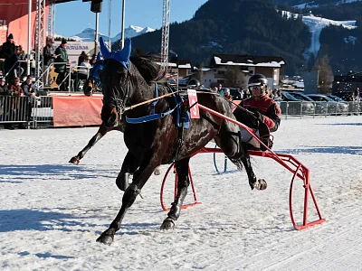 bijournoir-mariozanderigo-07-2025-weiss-2