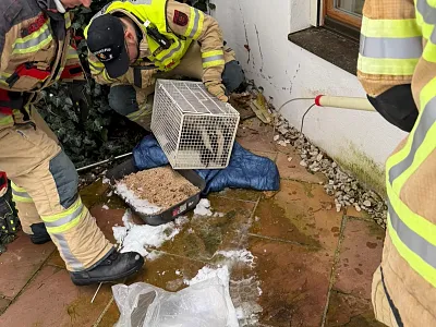 Dachsrettung_03_31_FFKitzbühel