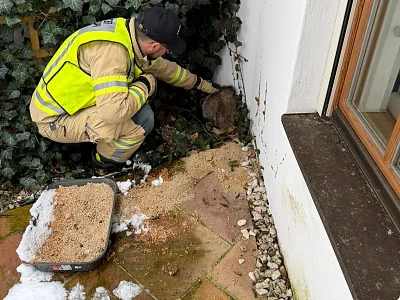 Dachsrettung_03_31_FFKitzbühel