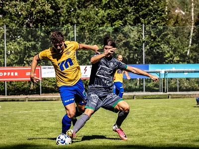 Fußball Regionalliga West St. Johann Wolfurt