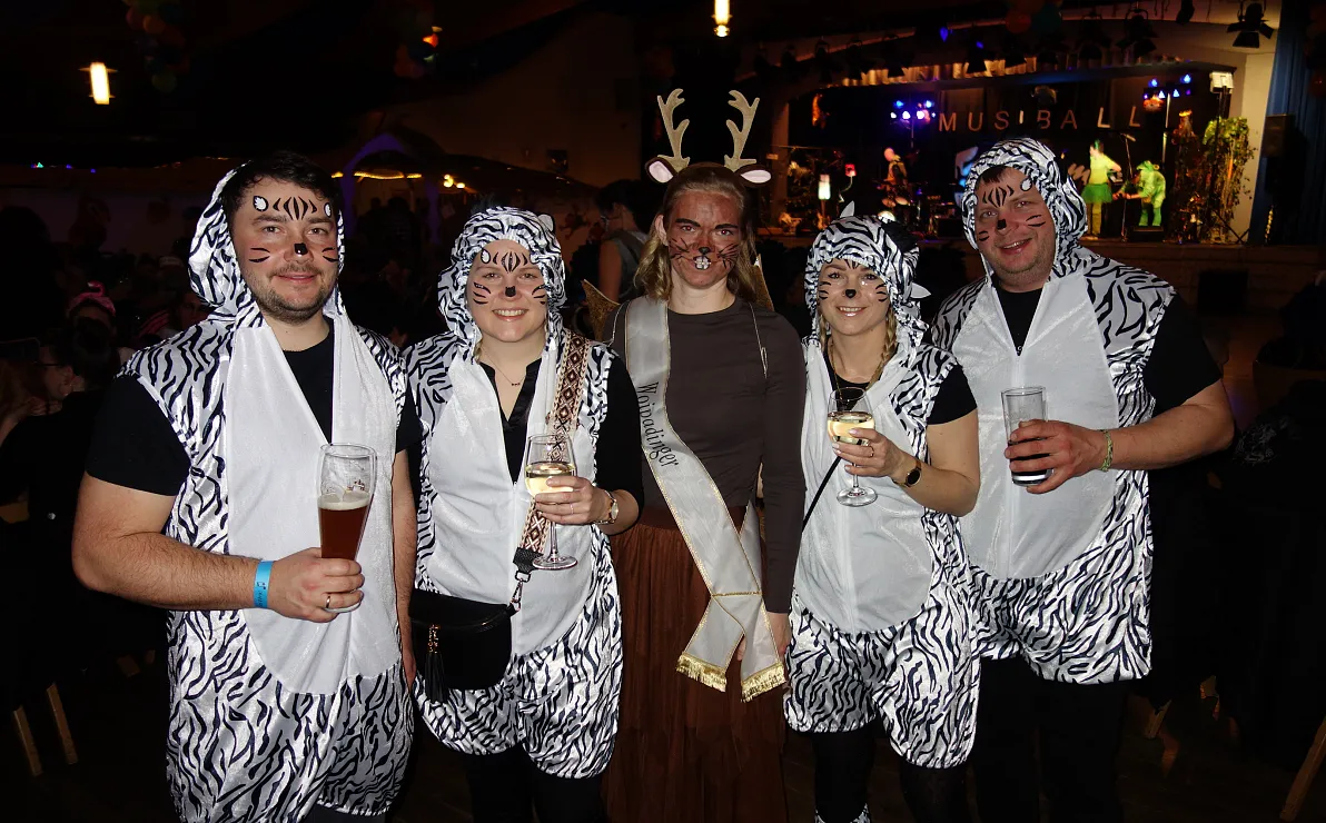 katzen-mit-woipadinger