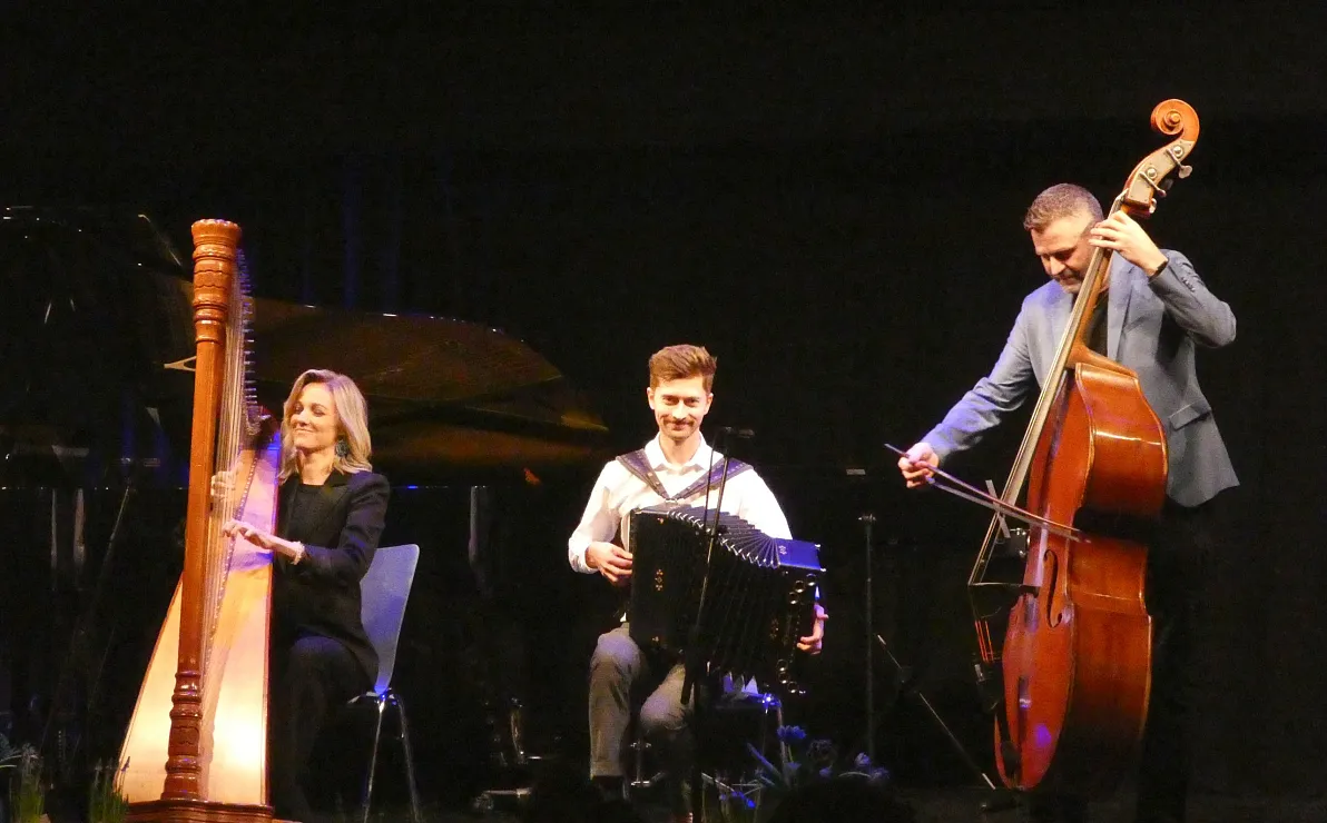 Konzertreihe Saite an Seite der LMS St. Johann