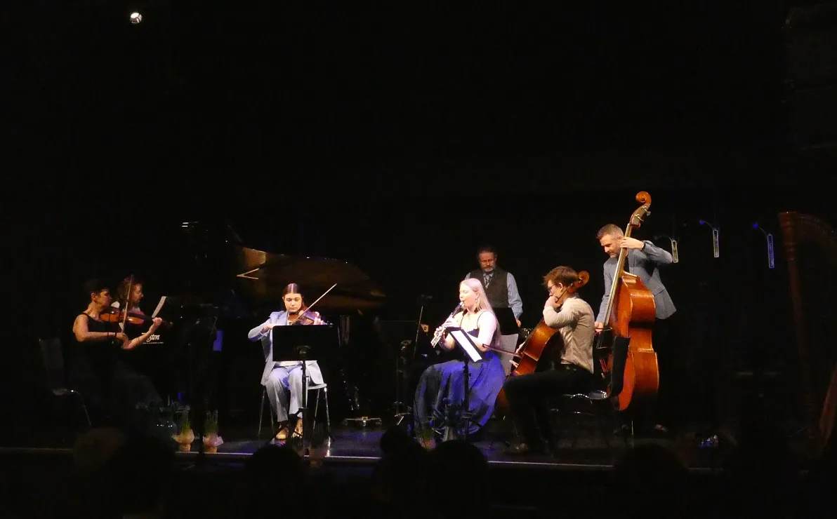 Konzertreihe Saite an Seite der LMS St. Johann