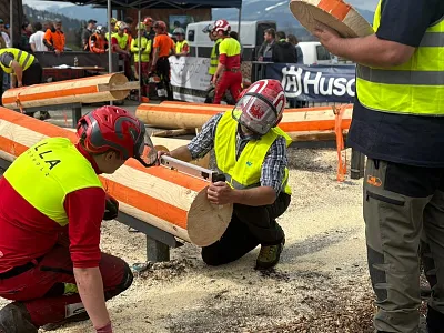 Landesentscheid Forst in St. Johann