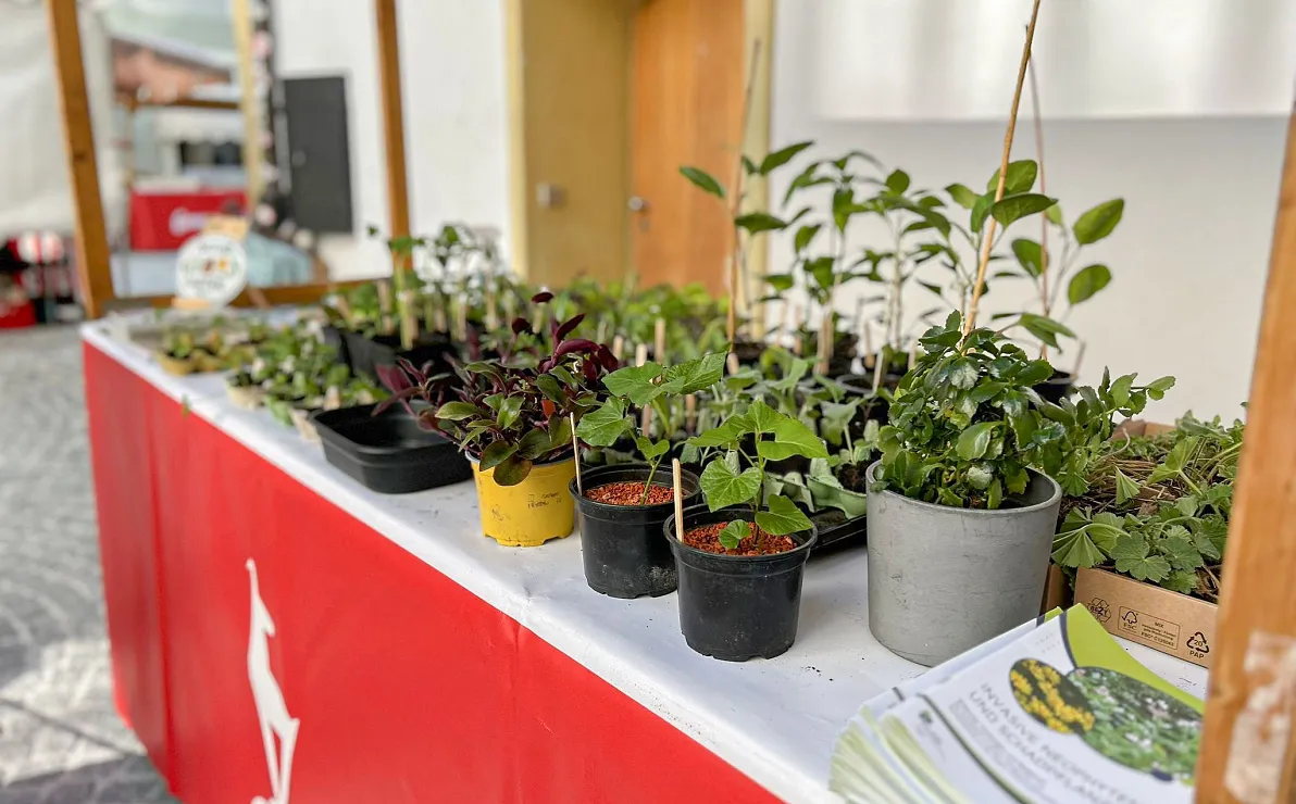 Pflanzentauschmarkt Greenfluencing Kitzbühel
