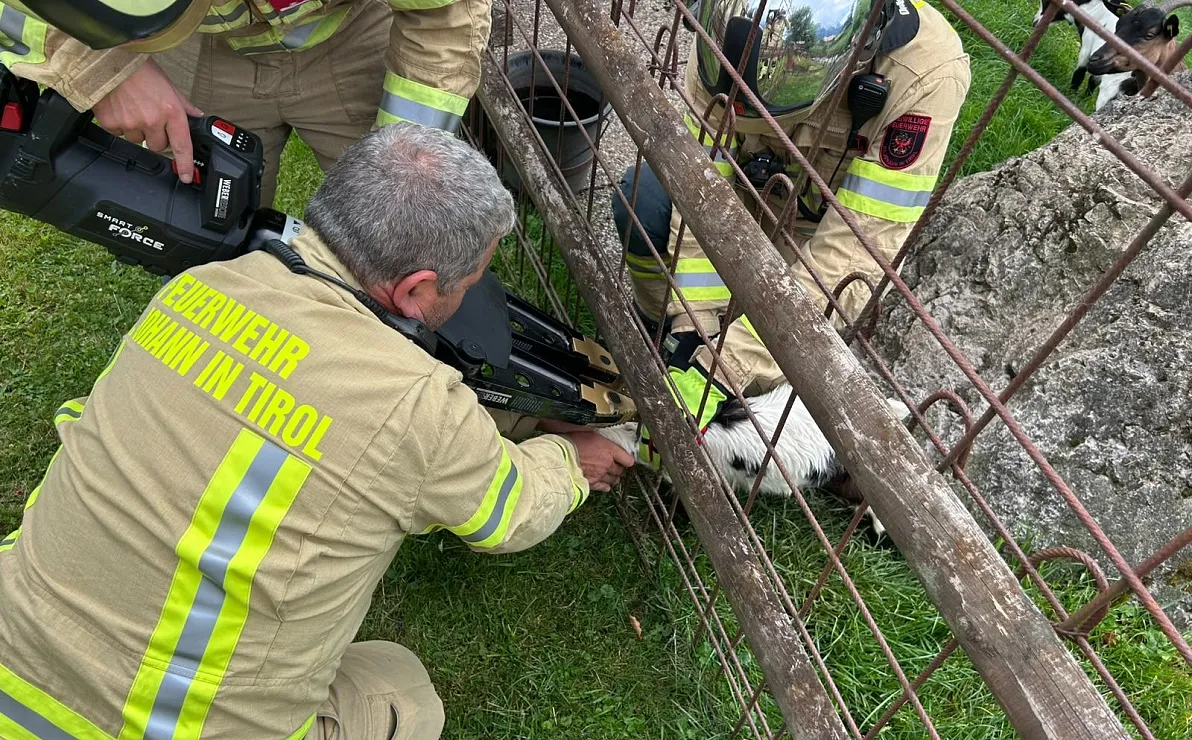Rettung_Ziege aus Notlage_ St. Johann