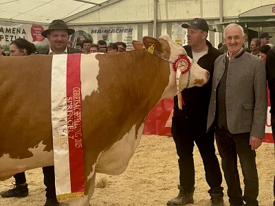 Rinderausstellung_StJohann_17_2026_Klausner