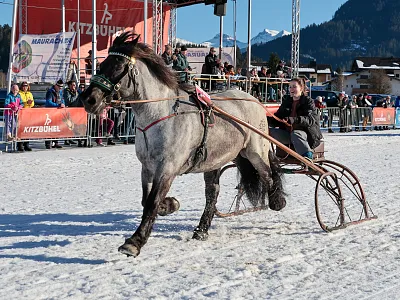 sophiahuber-franziskus-07-2025-weiss-2